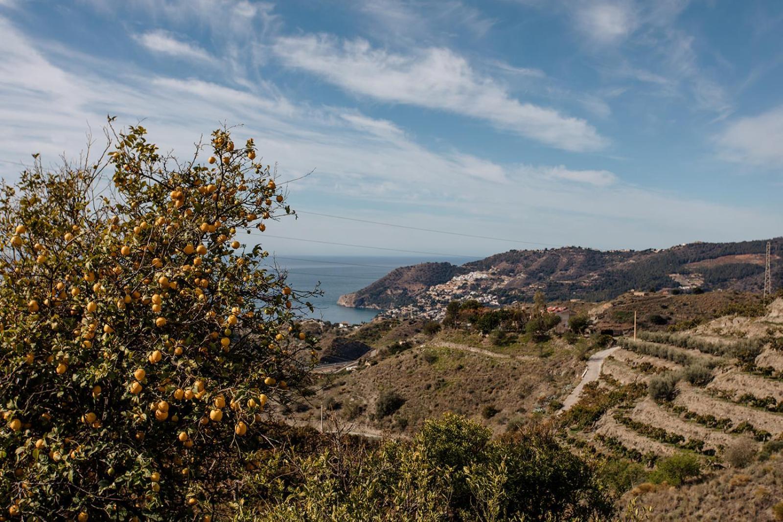 Finca La Herradura Kültér fotó